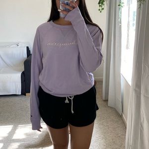 Champion sweater